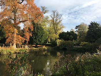 Chiswick House grounds, a peaceful rural scene
